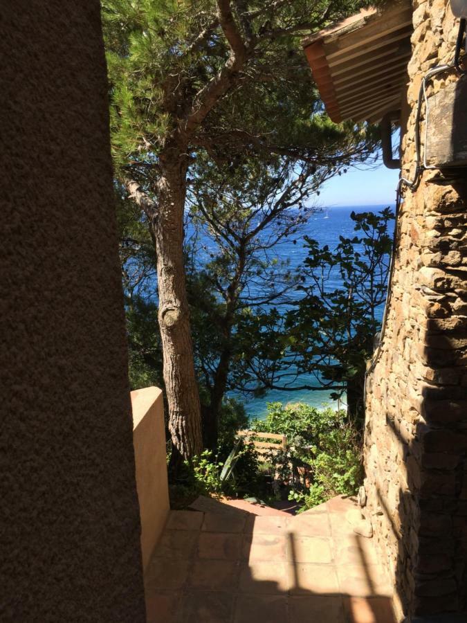 La Gavaresse Appartement Carqueiranne Buitenkant foto